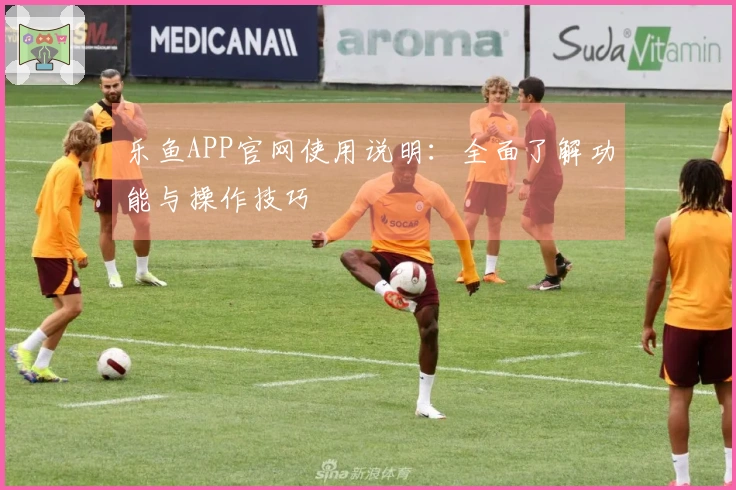 乐鱼APP官网使用说明：全面了解功能与操作技巧