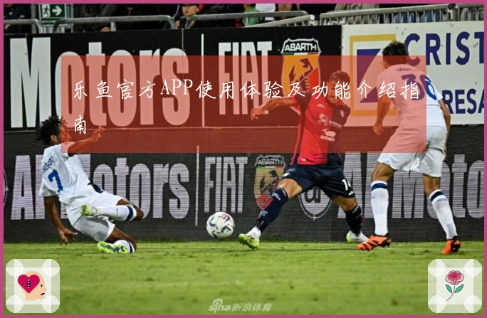 乐鱼官方APP使用体验及功能介绍指南