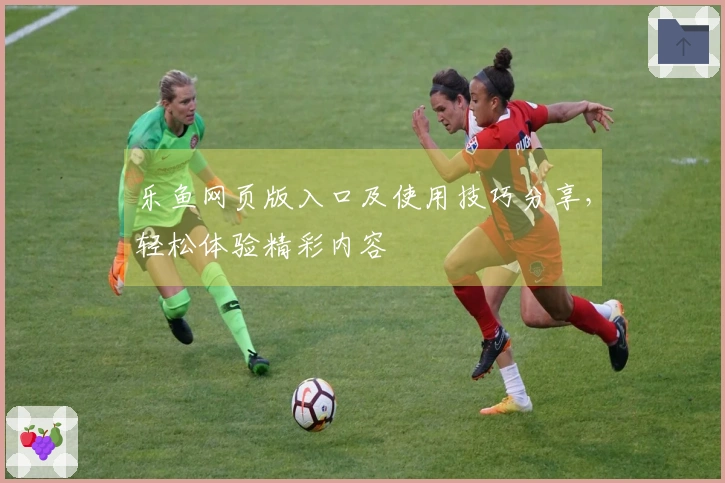 乐鱼网页版入口及使用技巧分享，轻松体验精彩内容